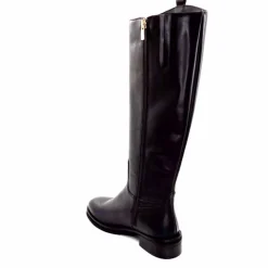 Basic|Bottes<marcha / m.moustafa Bottes Cavalières Ivoire E951 Flory Cuir Foncé Marron