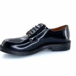 Masculin|Lacets<Ivoire0156 Derbies Ivoire 8800 Kat Cuir Glacé Noir