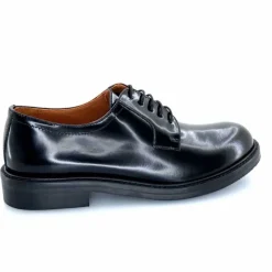 Masculin|Lacets<Ivoire0156 Derbies Ivoire 8800 Kat Cuir Glacé Noir